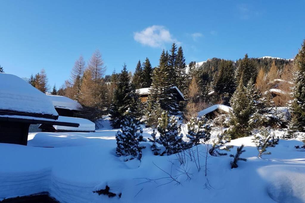 Chalet Wulli In Der Naehe Der Skianlagen Савоньин Экстерьер фото