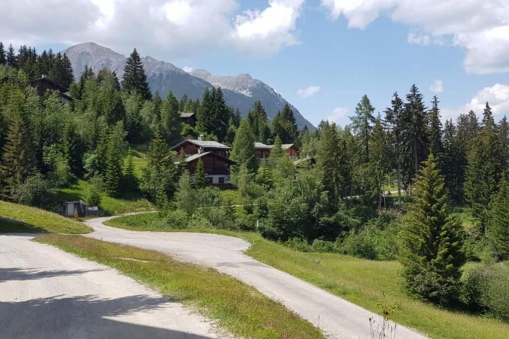 Chalet Wulli In Der Naehe Der Skianlagen Савоньин Экстерьер фото