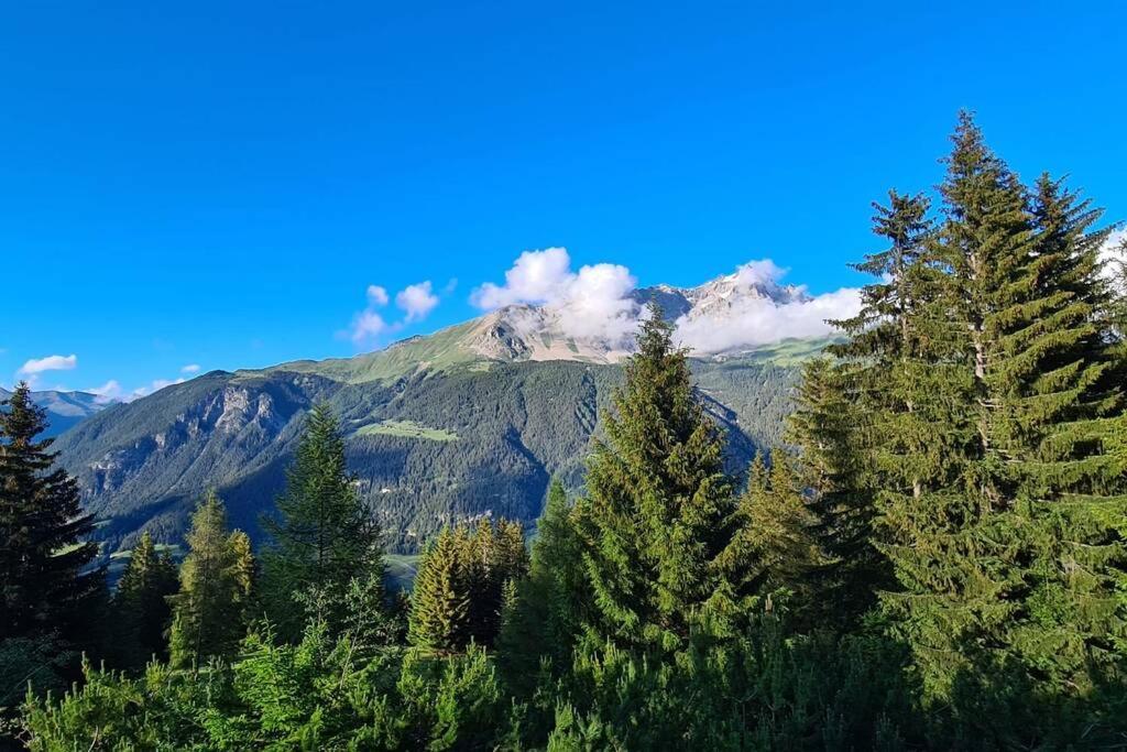 Chalet Wulli In Der Naehe Der Skianlagen Савоньин Экстерьер фото