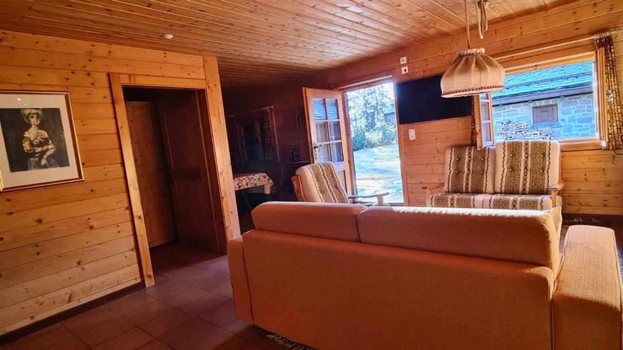 Chalet Wulli In Der Naehe Der Skianlagen Савоньин Экстерьер фото