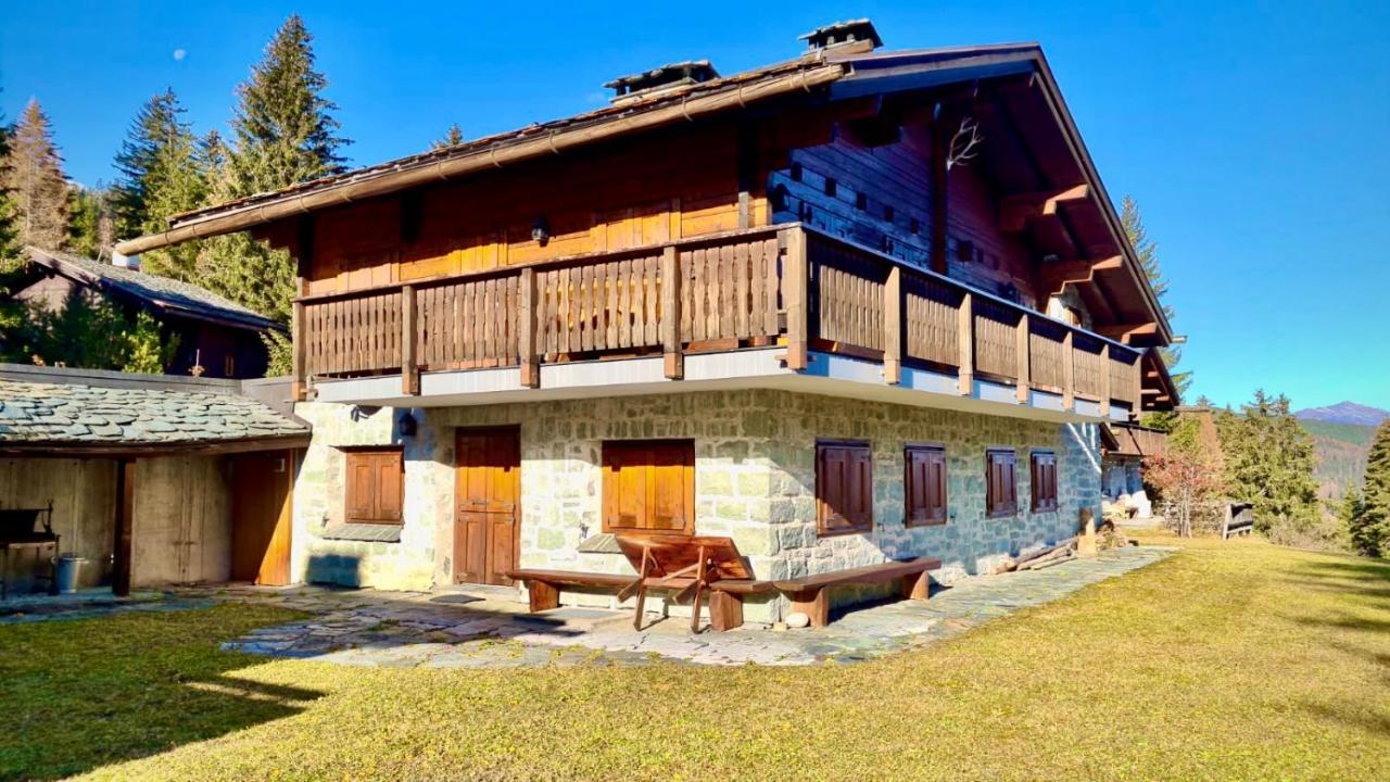 Chalet Wulli In Der Naehe Der Skianlagen Савоньин Экстерьер фото